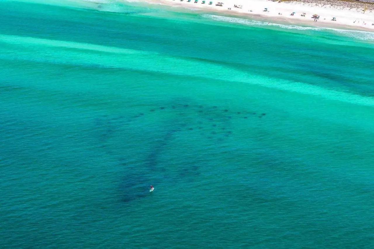 Catch Of The Day Villa Destin Holiday home